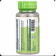 Кора скользкого вяза, Slippery Elm, 400 mg, 100 VegCaps