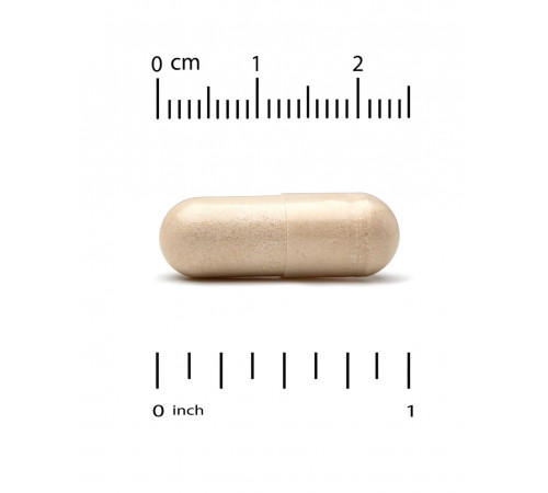 ежовик гребенчатый, MushRex Plus 120 vegcaps